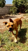 BILLY Imagen 7